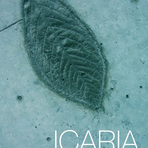 ICARIA-LOGO-DISEN╠âO-GRAFICO